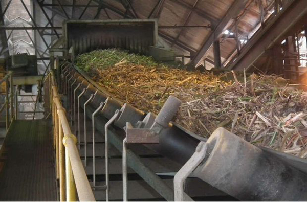 Sugar-production-plant-7886.jpg